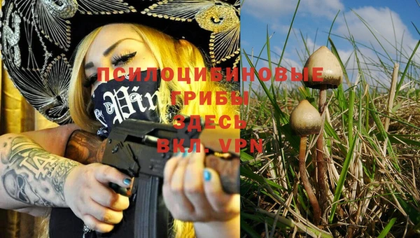кристаллы Белоозёрский